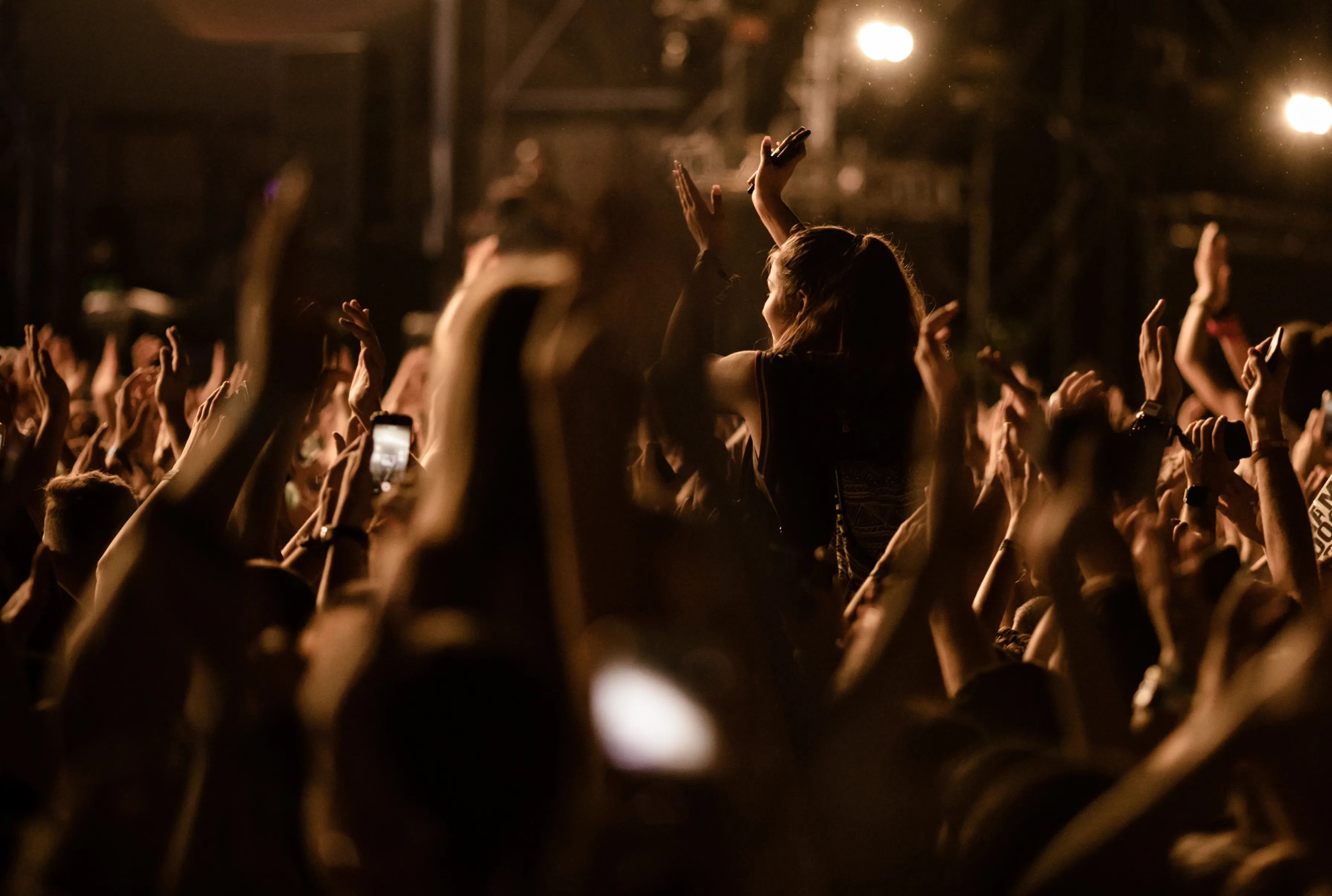 Concert crowd gallery